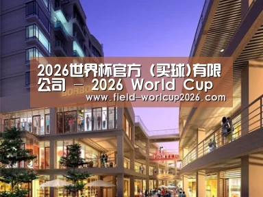 案例展示一